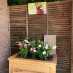 Steigerhouten plantenbak